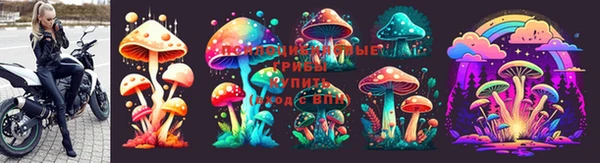 прущий лед Лабытнанги