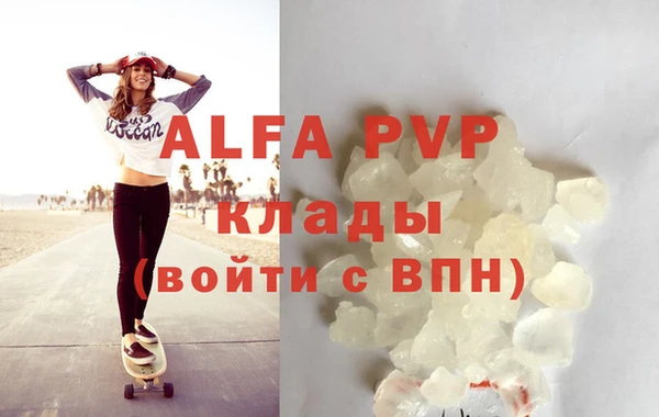 стафф Ладушкин
