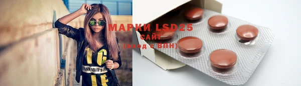 стафф Ладушкин
