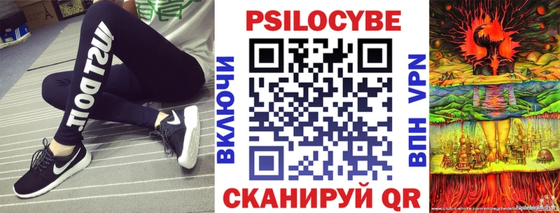 Псилоцибиновые грибы Psilocybe  Абдулино 