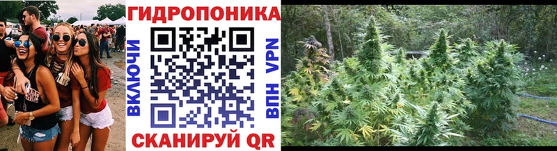 Бошки марихуана гибрид Абдулино